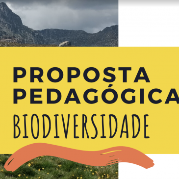 Uma proposta pedagógica para o Dia da Biodiversidade